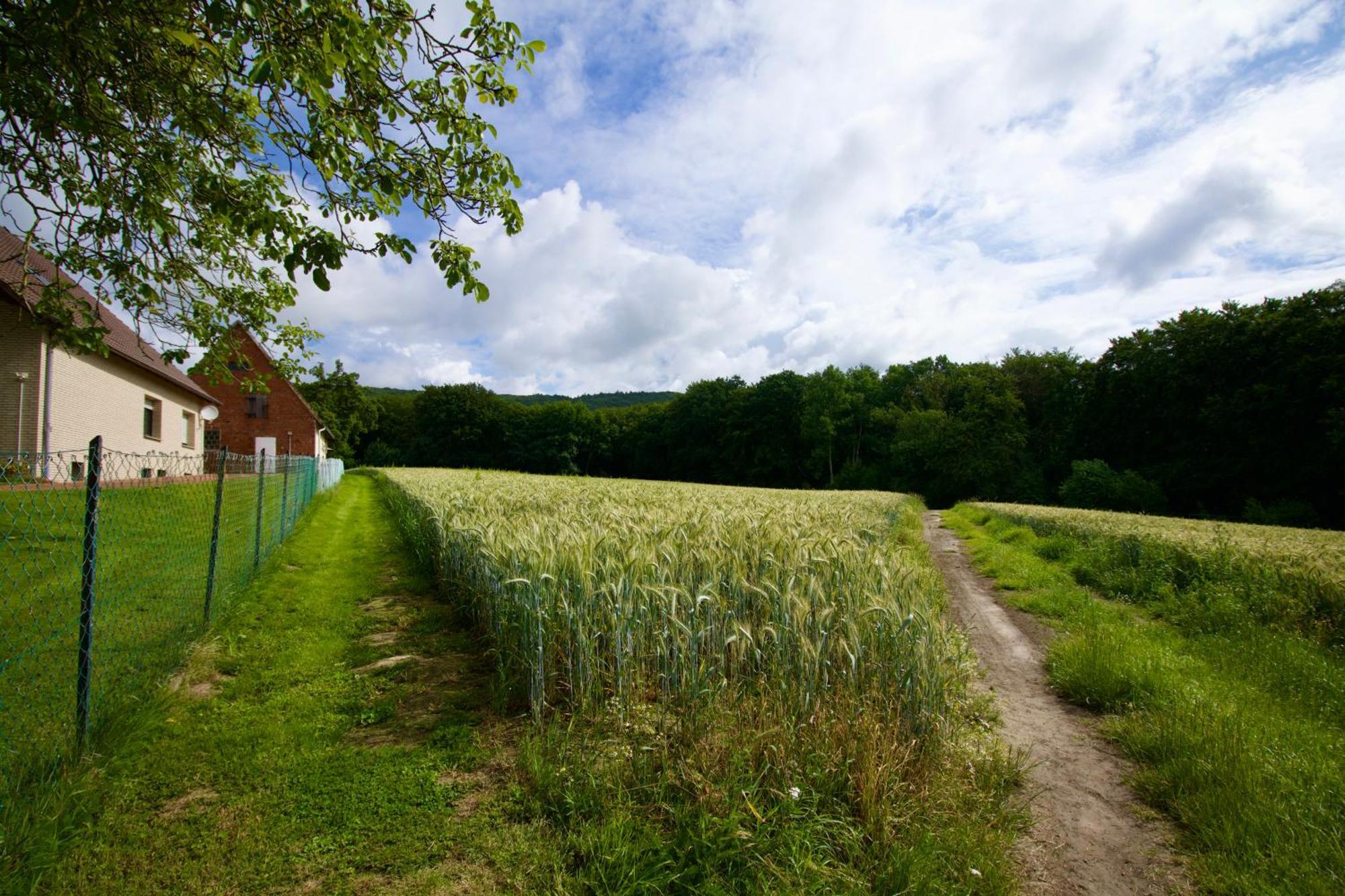 Ferienhaus Plattenberg Bad Oeynhausen Dış mekan fotoğraf