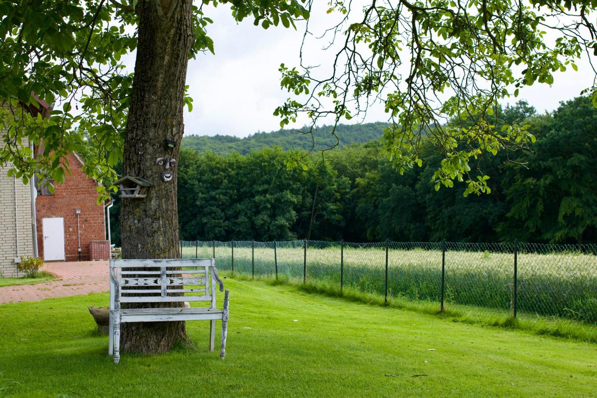 Ferienhaus Plattenberg Bad Oeynhausen Dış mekan fotoğraf